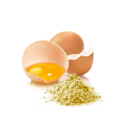 ŻÓŁTKO W PROSZKU BIO